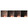 advance barber progressive tahe 118264 500x500