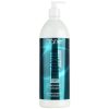 botanic fitoxil champu 1000ml tahe 500x500