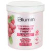 frambuesa menta mascarilla 700ml blumin 500x500