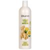 jengibre limon champu 1000ml blumin 500x500