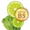 provitamina b5 bergamota champu 1000 ml blumin urban 61370 500x500