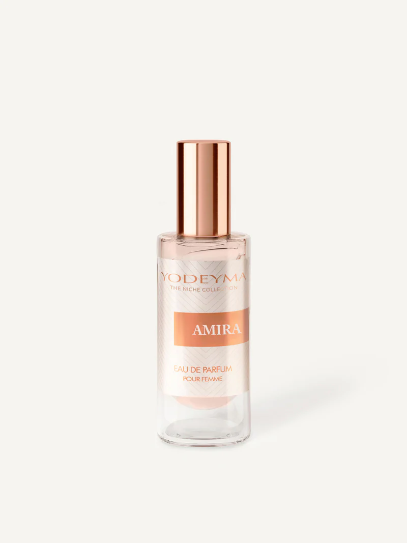 AMIRA 15 2 2000x