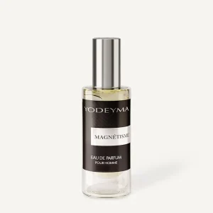 MAGNETISME 15 ml 1