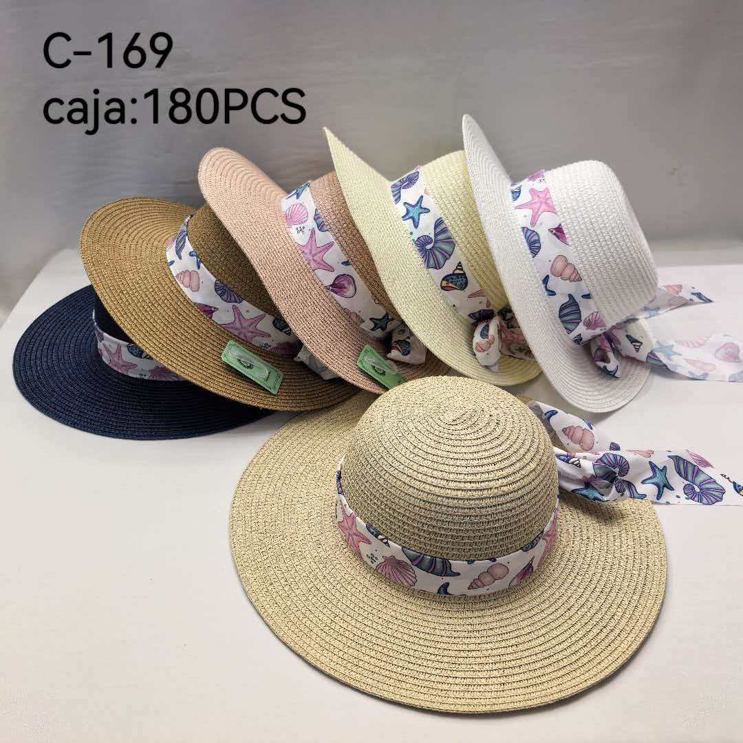 PME C 169